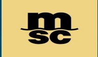 MSC Mediterranean Shipping